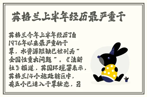 麻豆av一区二区天美传媒的最新资讯